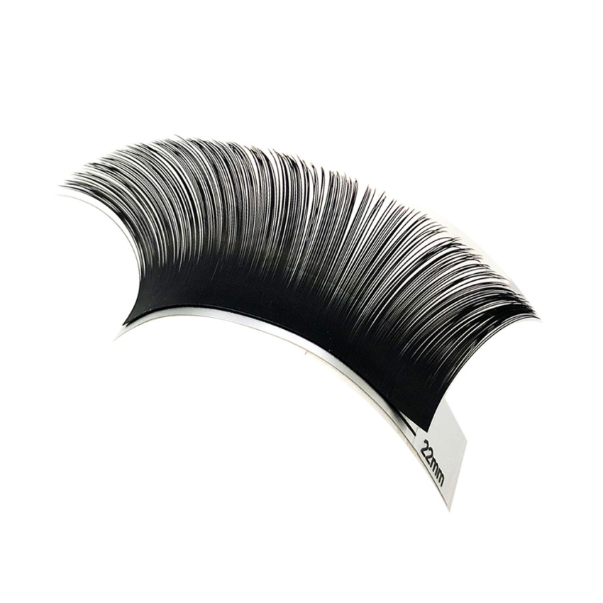 Callas Lashes For Extensions, 0.10mm DD Curl, Individual Eyelashes Extension-MIX